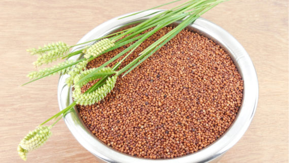 RAGI(ஆரியம்)