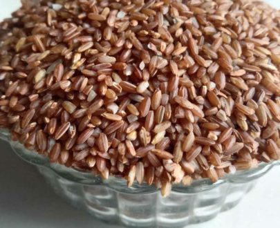 Home - Thulir Organics